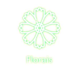 FLorais2